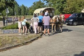 Kutsche mit Pferden und Gästen