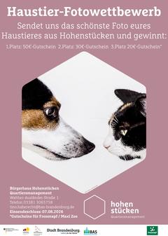 Haustierfotowettbewerb