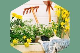 Blumen und Gartenwerkzeuge